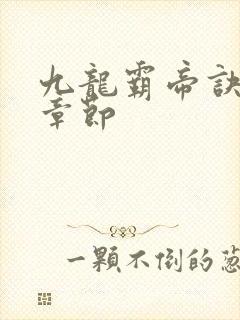 九龙霸帝诀最新章节