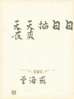 天天插日日干夜夜爽封面