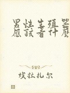 男性生殖器问题应该看什么科