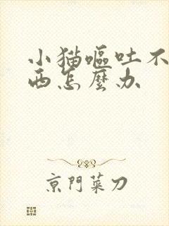 小猫呕吐不吃东西怎么办