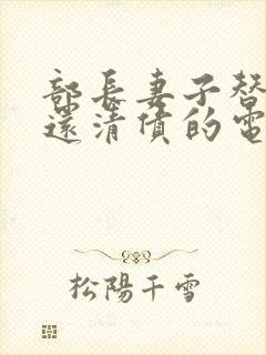 部长妻子替丈夫还清债的电影