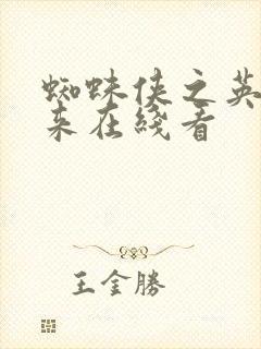 蜘蛛侠之英雄归来在线看