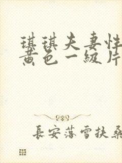 琪琪夫妻性生活黄色一级片