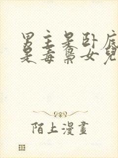 男主是卧底女主是毒枭女儿的小说封面