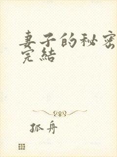 妻子的秘密3已完结