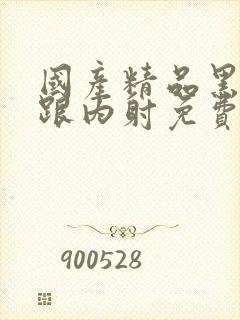 国产精品黑丝高跟内射免费在线观看