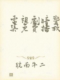 电视剧暗警35集免费播放封面