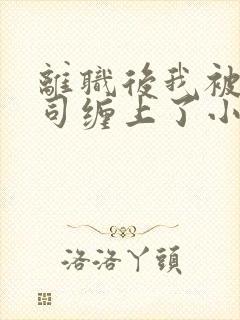 离职后我被前上司缠上了小说完整版阅读全文