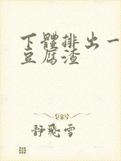 下体排出一坨坨豆腐渣