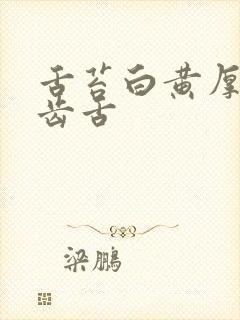 舌苔白黄厚腻锯齿舌