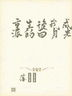 重生后我成了反派的白月光