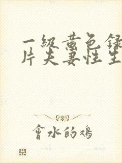 一级黄色录像影片夫妻性生活影片