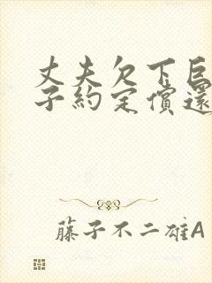 丈夫欠下巨债妻子约定偿还