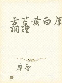 舌苔黄白厚怎么调理