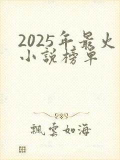 2025年最火小说榜单封面