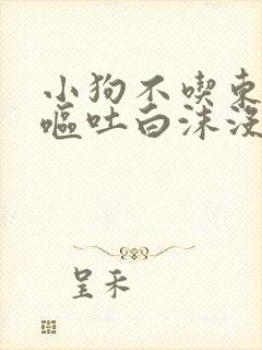 小狗不吃东西还呕吐白沫没精神怎么办封面