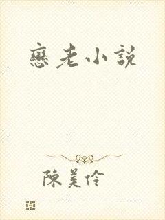 恋老小说