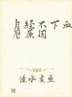 月经不下血是什么原因