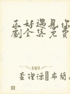 正好遇见你电视剧全集免费播放