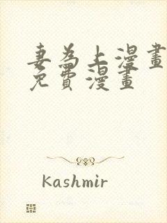 妻为上漫画全集免费漫画