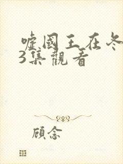 嘘国王在冬眠23集观看