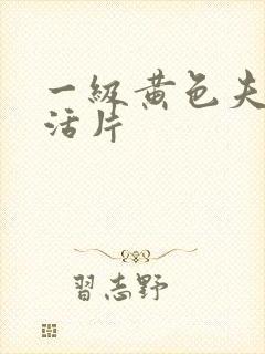 一级黄色夫妻生活片