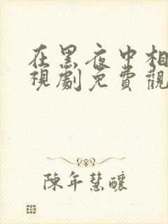 在黑夜中相拥电视剧免费观看完整版