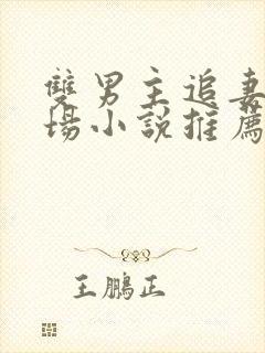 双男主追妻火葬场小说推荐封面