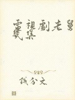 电视剧老舅一共几集