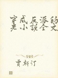 穿成反派的黑月光小说全文免费阅读封面