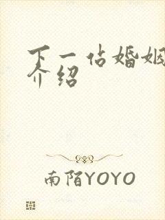 下一站婚姻剧情介绍