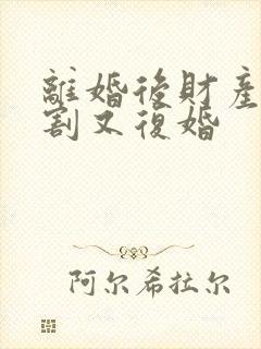 离婚后财产未分割又复婚封面