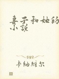 妻子和她的学生小说封面