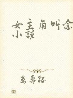 女主角叫念安的小说