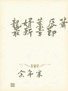 龙婿叶辰萧初然最新章节