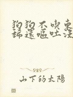 狗狗不吃东西拉稀还呕吐没精神怎么办