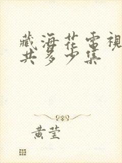 藏海花电视剧一共多少集