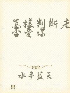 怎样判断老公是否爱你