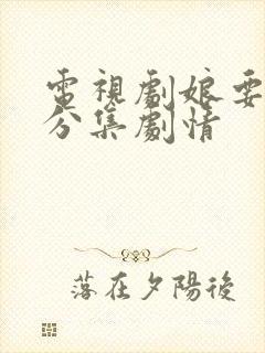 电视剧娘要嫁人分集剧情封面