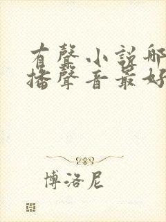 有声小说哪个主播声音最好听