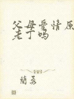 父母爱情原著有老丁吗封面