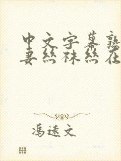 中文字幕熟女人妻丝袜丝在线封面