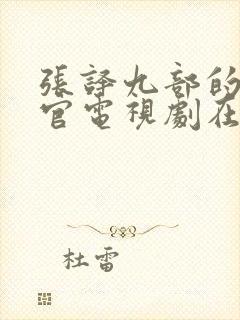 张译九部的检察官电视剧在线观看免费