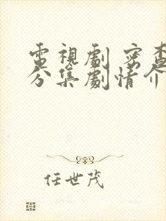 电视剧 密查 分集剧情介绍