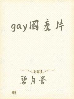 gay国产片