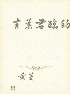 有叶君临的小说