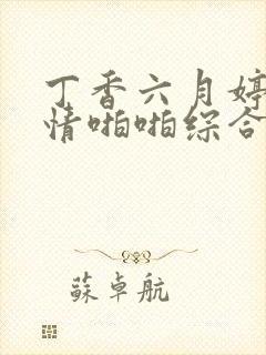 丁香六月婷婷激情啪啪综合封面