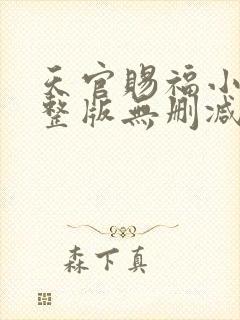 天官赐福小说完整版无删减txt封面