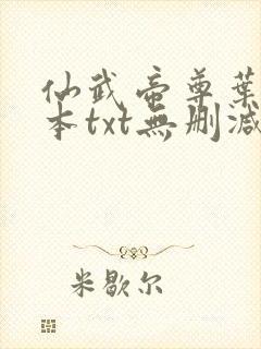 仙武帝尊叶辰全本txt无删减