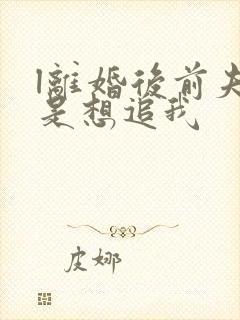 l离婚后前夫总是想追我